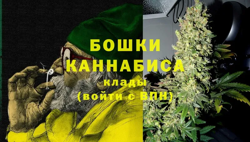 Каннабис OG Kush  Бийск 